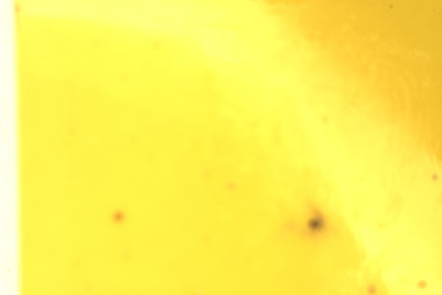 Image 17